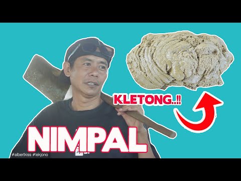 inpo-nimpal-let0ng-sapi