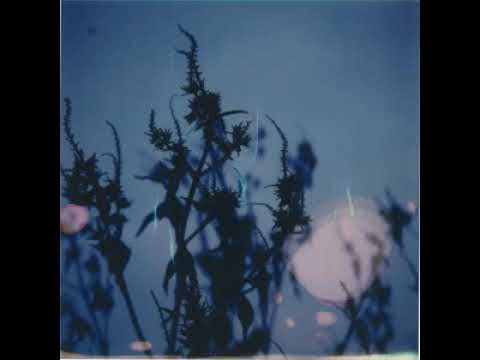 Derek Rogers - Immersions (Full Album)