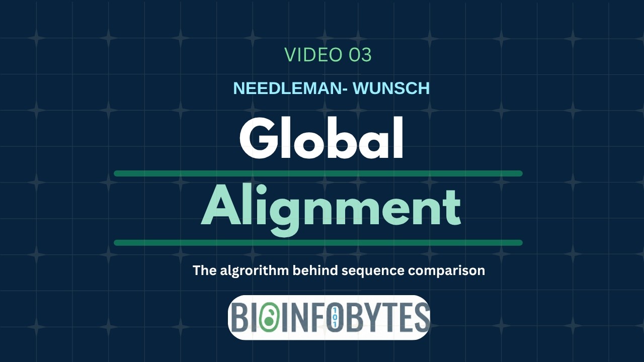 Needleman-Wunsch Algorithm Explained — Global Sequence Alignment | BioinfoBytes