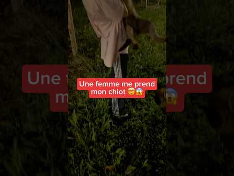 Adès works miracles, she managed to walk 😱😨 #ninolemalou #dog #malinois #nino #ades