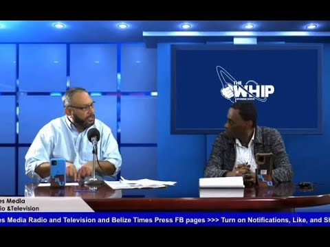 Will Government Buy Back B.S.I?