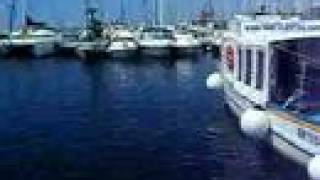 preview picture of video 'Nautilus diving a Marina Aregai Santo Stefano al Mare Liguria'