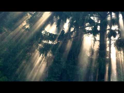 Aneta Langerová - Malá mořská víla