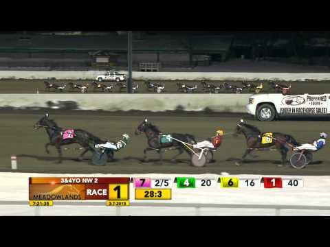Meadowlands March 7, 2015 - Race 1 - Gokudo Hanover