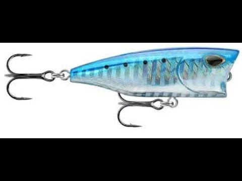 HB Total Media video.