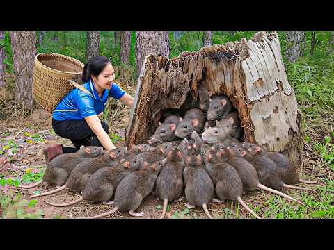 Harvest 1000+ Giant Forest Rats Go to Market Sell | 150 Days From Newborn to Survivor | off the grid