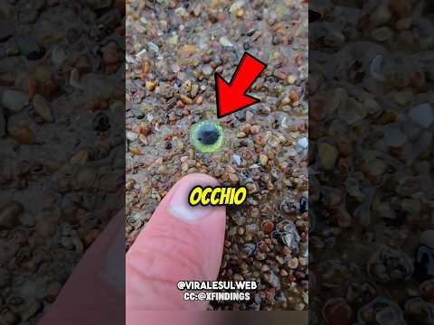Pensava fosse un PESCE,ma poi…😱 #shorts