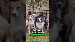 Até aqui o pastor migué apareceu #humor #pets #fanyvideos #meme #fanyvideos #pastorMiguel #demon