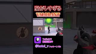 あまりにも騒がしすぎる配信ハイライト。 #valorant #クリップ集 #ゲーム実況 #valoranthighlights