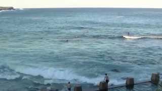 preview picture of video 'Coogee, New South Wales'
