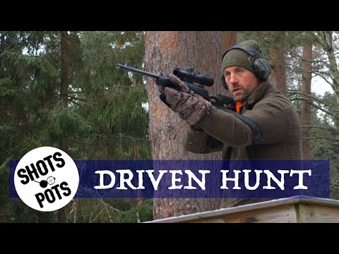 CRAZY HUNT IN SWEDEN (Trailer) - One roe, two fallows and four wild boars in one day.