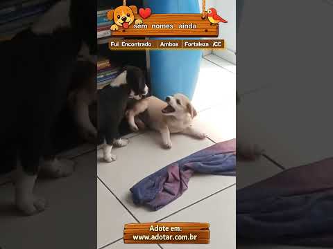 Vídeo de sem nomes ainda