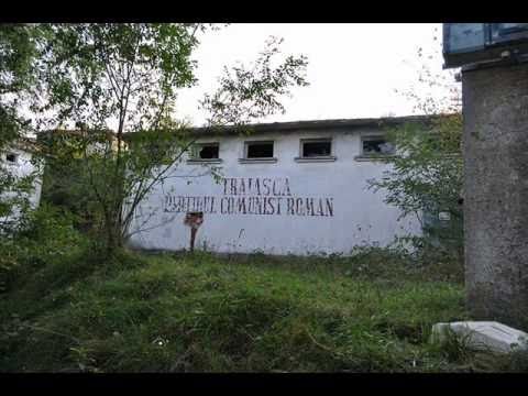 muncelu-mic 2010 jud.hunedoara