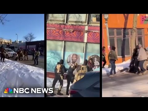 Witness videos raise questions about shooting that killed Alex Pretti