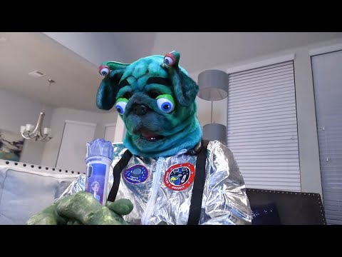 KidCity Saves the Alien from the Man in Black