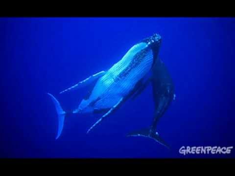 download lagu mp3 mp4 Resistencia Suburbana El Len, download lagu Resistencia Suburbana El Len gratis, unduh video klip Resistencia Suburbana El Len