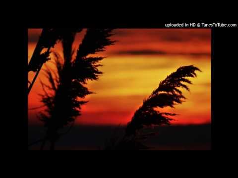 Today's Tango Is... Aurora Pampera - Felice Verrecchia