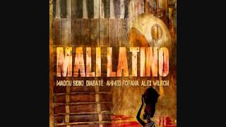 Mali Latino - Sangre Mandinga