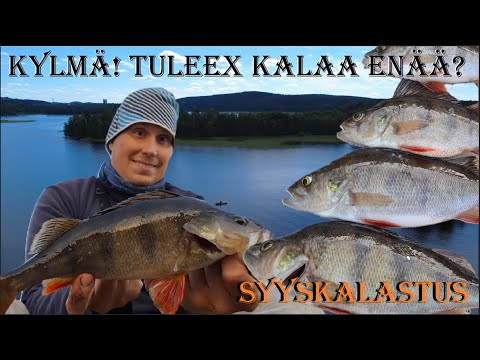 🍁🍂  SYYSKALASTUS | YÖLLÄ VAIN +2C! | LOPETTIKO KALA SYÖMISEN?? | AHVENEN KALASTUS