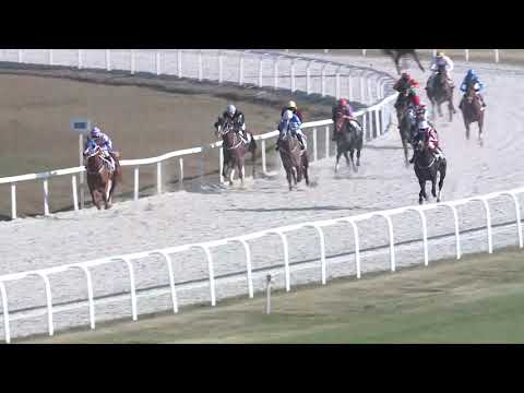 2018.11.18. 02. futam - NYERETLEN KÉTÉVESEK VERSENYE (IV.kat.) (szintetikus pálya)