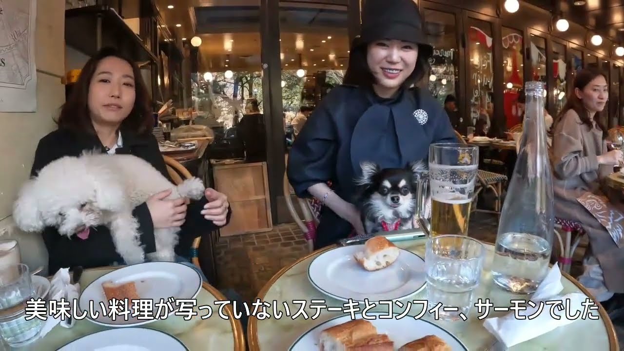 紀尾井町のカフェ　AUX BACCHANALES（オーバカナル）ペットと楽しく、ステーキ、オニオングラタンスープ,鴨のコンフィーは絶品