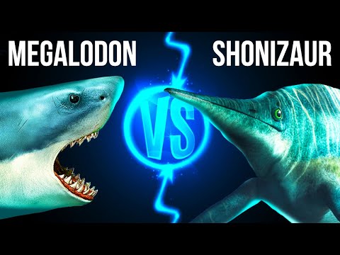 Megalodon vs Biggest Sea Dinosaur in Ultimate Showdown