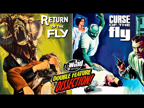 Let's Dissect the Lesser Known FLY SEQUELS