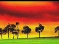 Slightly Stoopid - Sinsemilla.mov