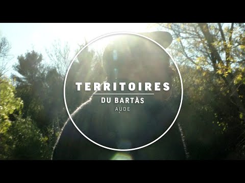 Blogothèque and Vincent Moon / Petites Planètes