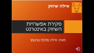 סקירת אפשרויות השיווק באינטרנט