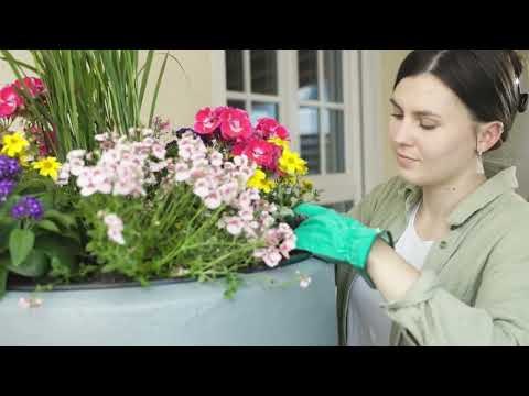 2in1 Watercontainer