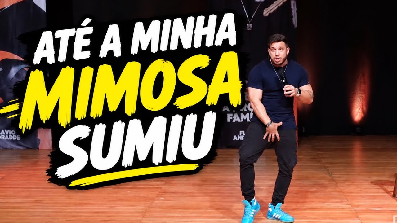 FRIO EM SÃO PAULO - FLAVIO ANDRADDE - STAND UP COMEDY