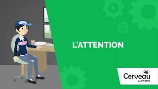 Attention - Animated BRAIN - Young Adults