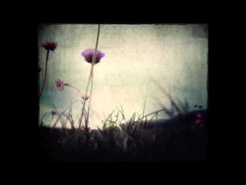 ALBATOR / CAPTAIN HARLOCK - Stellie / Mayu theme (HQ Orchestral version)