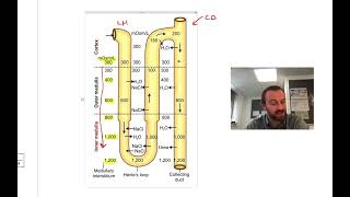 AQA Biology 2019 Paper 3 Runthrough