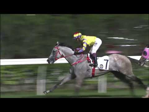 6/7/2022 (805) Ping Hai Galaxy - A Badel