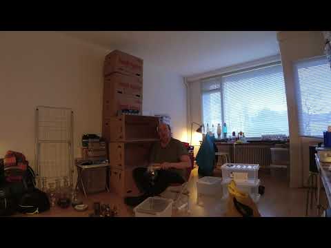 MongoTV_11000 - MIN NYE LEJLIGHED - Del 83 - Jeg Må Af Med Flere Ting Før Jeg Flytter