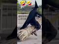 witch flying broomstick😨😨😨