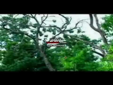 Tus Kuv Hlub Tshaj by Bao Her (Cover by Bee Yang)