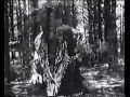 Sparklehorse – Pig (Official Video)