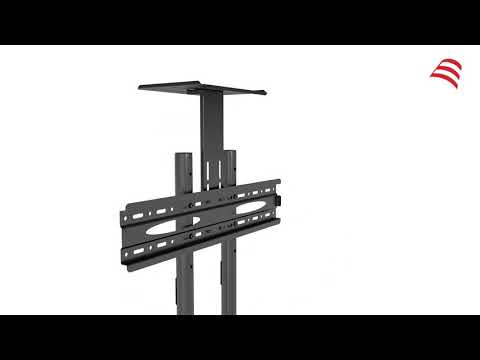 Video 1