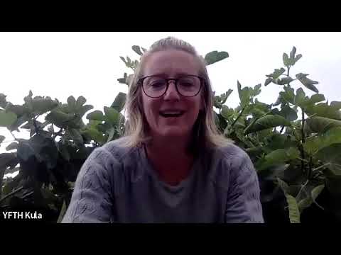 Mediation with Bonita