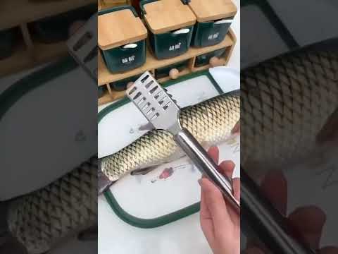 Steel fish scale remover
