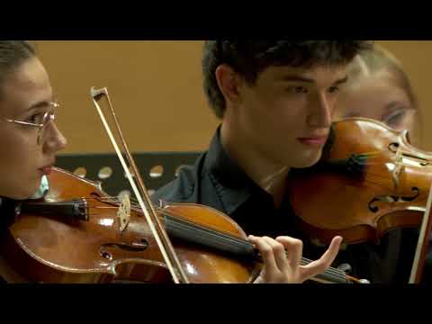 Ensemble of the "Tudor Ciortea" Vocational Music High School, Brașov, 2023.