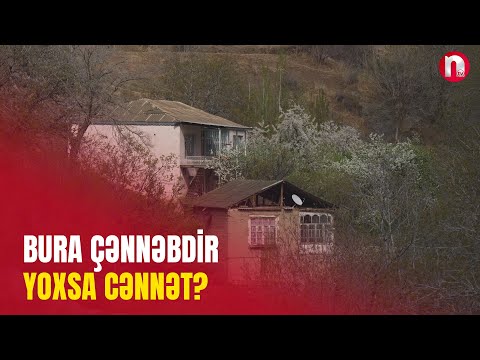 BURA VƏTƏNDİR - 27.04.2025