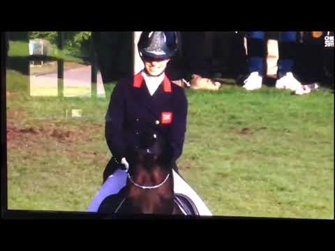 Lord Leatherdale ( Lord Loxley X Ferragamo) at CHIO Aachen 2019