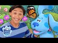 Butterfly Blue Skidoo Blue S Clues You