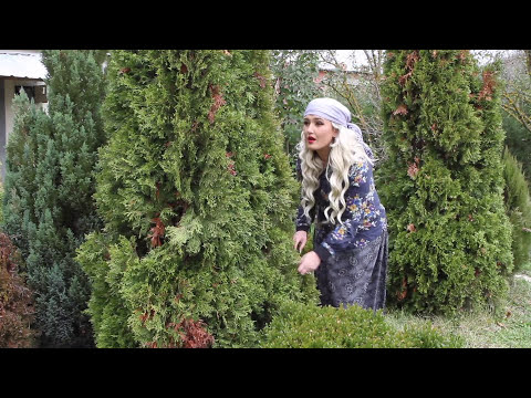 Humor Dreni,Fiza,Fata,Kungji  - Burri jem rrin  pup