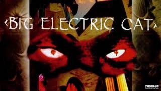 Big Electric Cat - Red Roses
