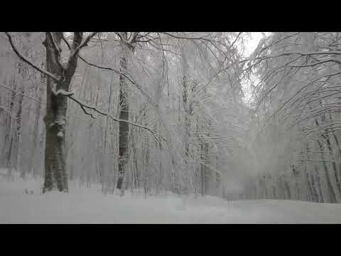 Gs Tv - nevicata eccezionale sul Monte Amiata